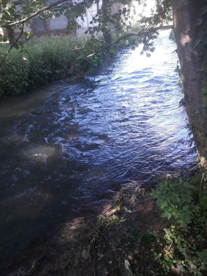 Gite Au Bord Du Lac Montville Eksteriør bilde